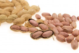 Groundnuts Category4